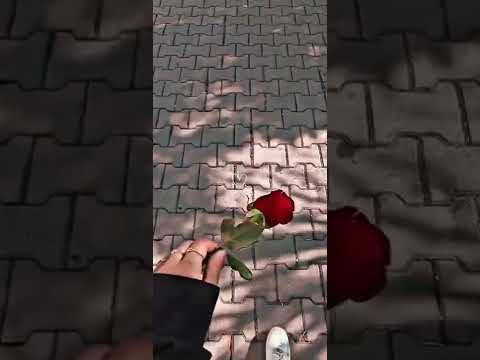 حالات واتس اب البي الي بعمرو ماعرف ضعفي