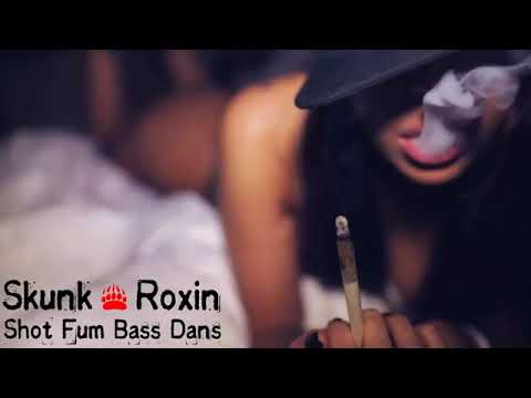 Shunk & Roxin| Shot Fum Bass Dans