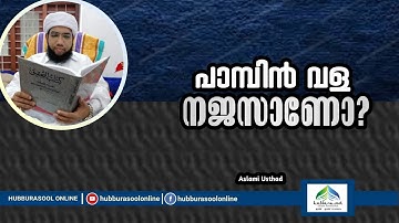 പാമ്പിൻ വള നജസാണോ? | Latest Islamic Speech | Aslami Usthad | Hubburasool Online