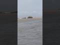 Elephant Stone at Poovar Island #poovarisland