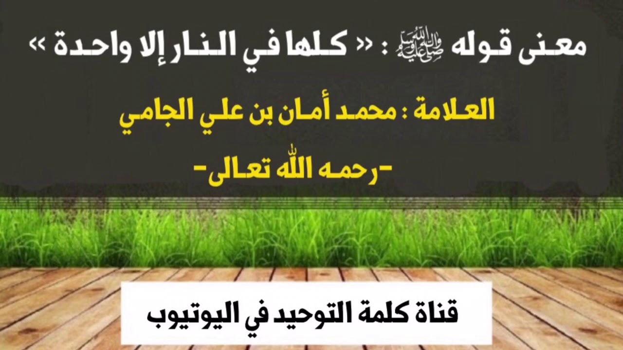 الشيخ العلامة محمد بن أمان الجامي : معـنى قـوله ﷺ :  « كـلّها فـي الـنـار إلا واحـدة »