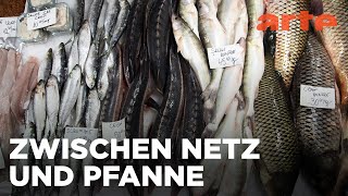 Download Lagu Der Paita Obor | Im Bauch von Bukarest | ARTE Family MP3 Download Lagu Der Paita Obor | Im Bauch von Bukarest | ARTE Family MP3