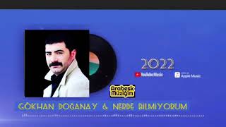 GÖKHAN DOĞANAY NERDE BİLMİYORUM 2022 Yayında Resimi