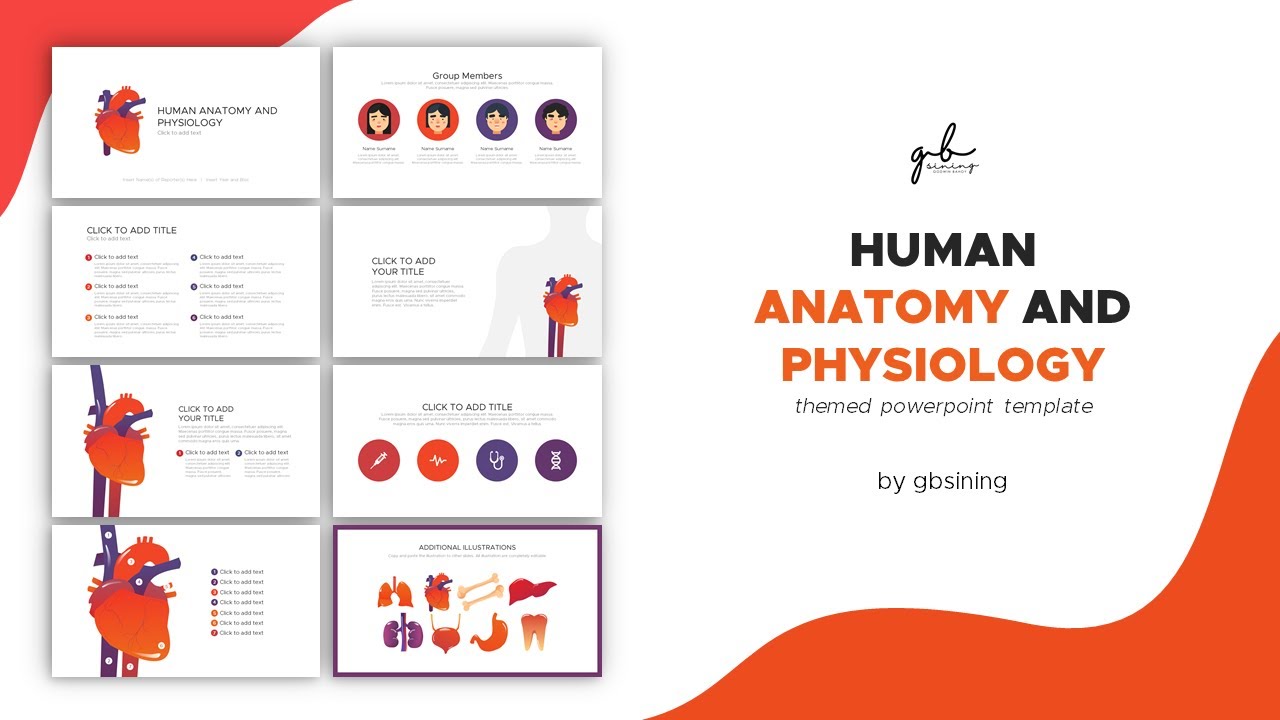 Anatomy And Physiology Themed Powerpoint Template Gbsining Youtube