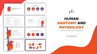 Anatomy and Physiology Themed PowerPoint Template | gbsining screenshot 4