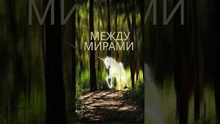Внутренний конфликт: Путь к принятию