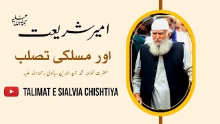 Ameer Shariat aur mslki tslab || Talimat E Sialvia Chishtiya || Sial Sharif