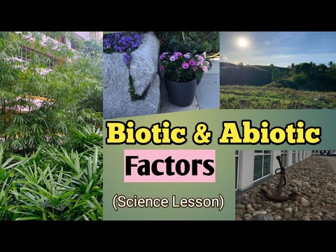 Biotic and Abiotic Factors - in Tagalog - Components of Ecosystem