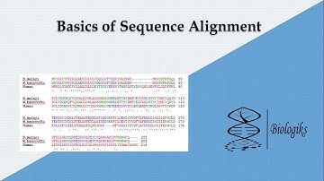 Basics of Sequence Alignment #Sequence_Alignment #Bioinformatics #DynamicProgramming