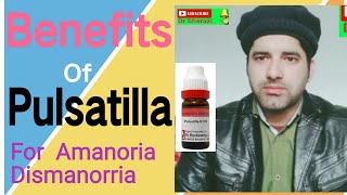 Pulsatilla nigra 30 benefits  Homeopathic Medicine  pulsatilla 30 in Hindi Urdu  Explain