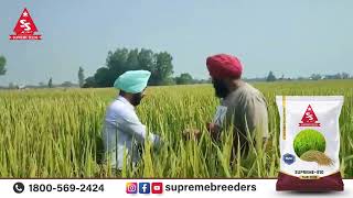 Supreme-810: Field Performance Review by Farmer