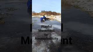 Playful Movement For Neuroplasticity