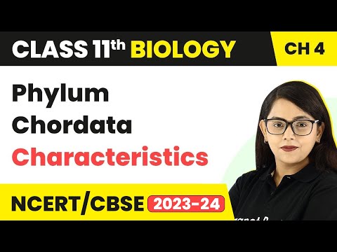 Phylum Chordata বৈশিষ্ট্য - পশু রাজ্য | ক্লাস 11 জীববিদ্যা