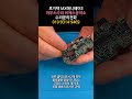 로지텍 MX 애니웨어3 마우스수리 좌우 스위치 둘다 클릭불량 증상으로 신품 옴론스위치 수명6천만 으로 교체 쇼츠 #좌우클릭스위치교체 #마우스사설수리점 #씨에스공작소