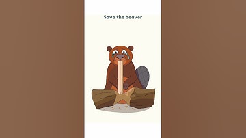 Dop 2 (Delete One Part) Level 297 Save The Beaver #viral #viralshorts #shorts @go4gamerz