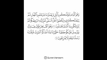 القارئ سعد الغامدي - سورة الأنعام - من الآية 60 إلى الآية 61