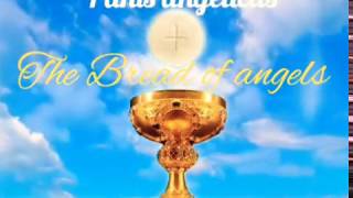 Panis Angelicus - Gregorian chant ( latin and english subtitles )