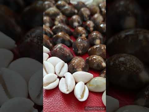 Laxmi Wealth product GomtiChakra