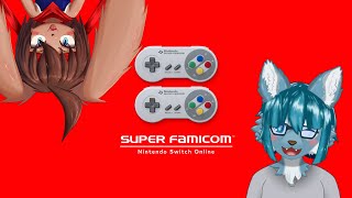 【switchオンライン】ケモショタ2匹で2Pする♂【スーパーファミコン】