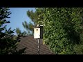 My Birdhouse 6 26 25 My Birdhouse 6 26 25