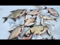 рыбалка 7 апреля #fishing