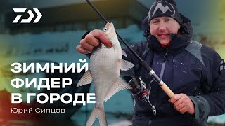 Зимний фидер в городе. Юрий Сипцов.