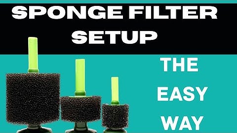 HOW DO SPONGE FILTERS WORK/HOW TO SET UP SPONGE FILTER WITH AIR STONE/AQUARIUM CO-OP #spongefilters