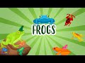 Frogs  educationals for kids