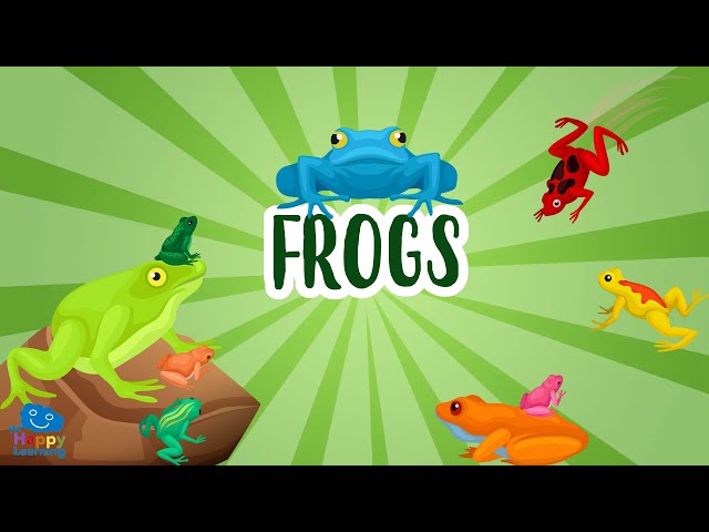 FROGS | Educational Videos for Kids class=