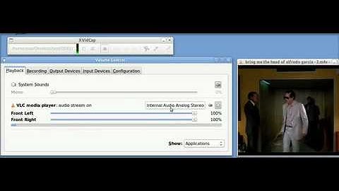 Ubuntu Basics padsp xvidcap 1 (video & pulse audio settings)
