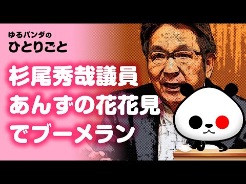 ゆるパンダのひとりごと 2020年3月30日 ひとりごと「杉尾秀哉議員のあんずの花は見頃です」