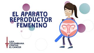 Aparato Reproductor Femenino | Infografía