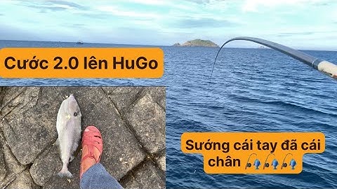 Câu Cá Biển Tự Nhiên. Gặp HuGo. TÝ FISHING. ( Vietnamese Fishing).