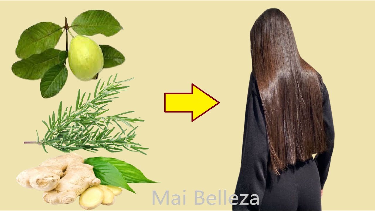 Hierve hojas de Guayaba con Romero, Gengibre y Nunca Mas se te Caerá el