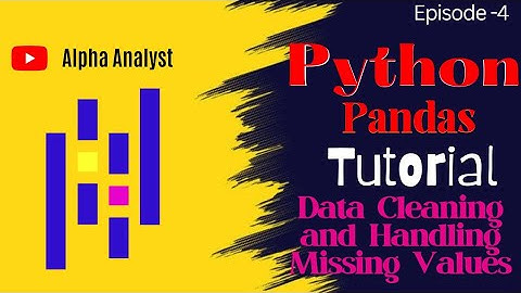 Python Pandas(Part 4): Data Cleaning and Handling Missing Values | Alpha Analyst