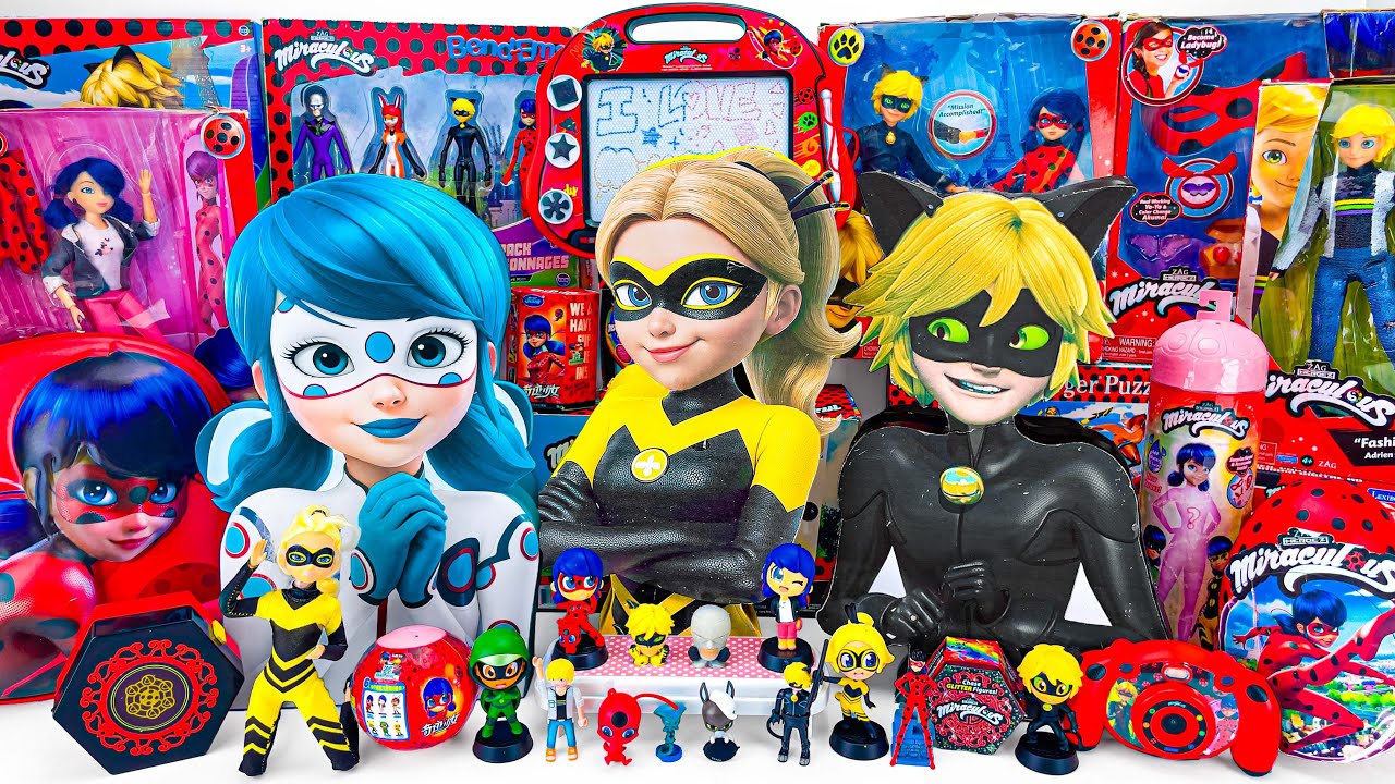 Miraculous Ladybug Toys Collection ASMR Unboxing Review | Mystery Cat Noir & Ladybug Surprise Boxes