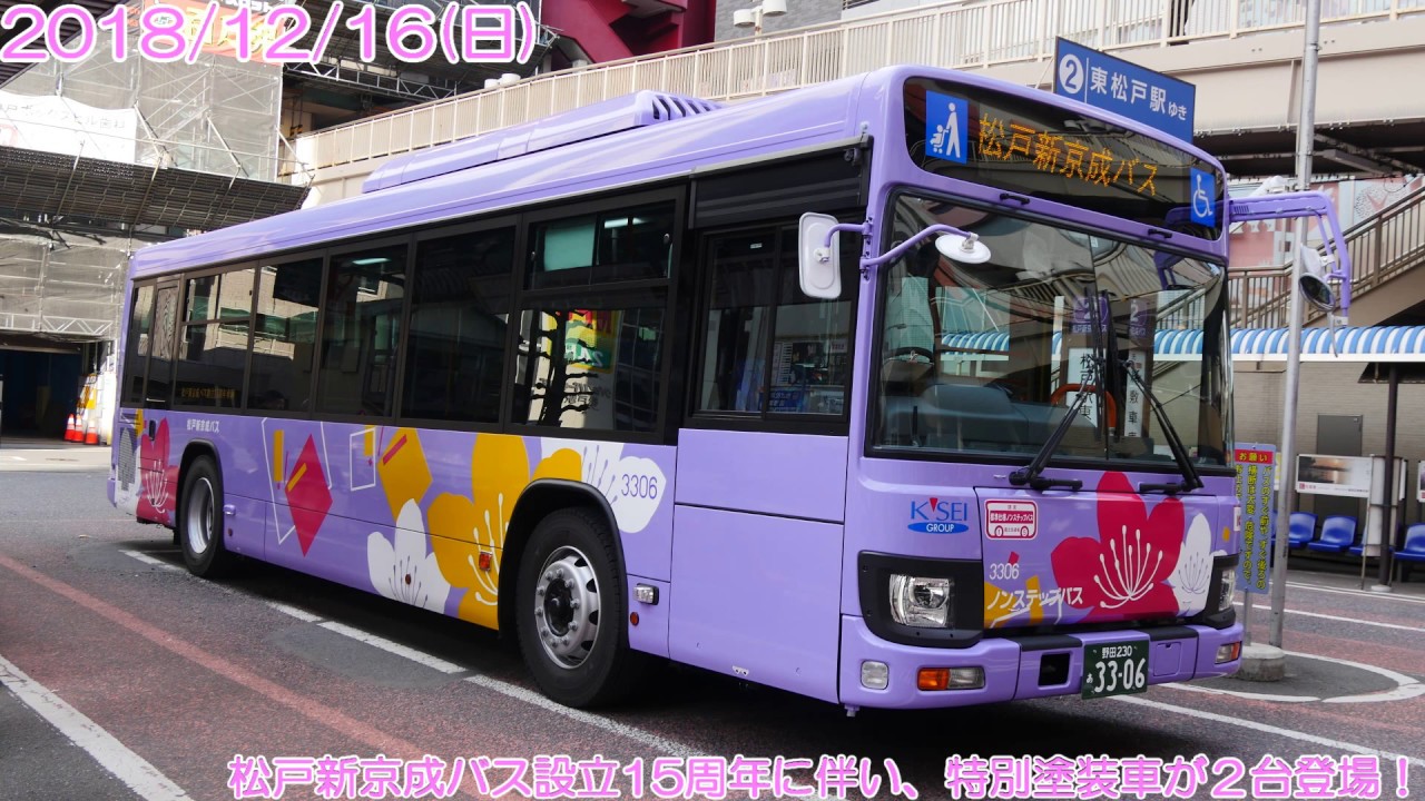 Matsudo Shin-Keisei Bus Special Livery (Matsudo City Azalea Color