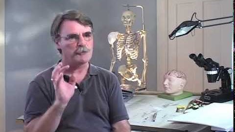 "Building Books: The Art of David Macaulay"