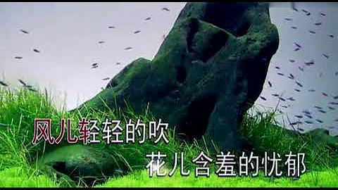 谢军《山谷里的思念》 2160P - 天天要闻