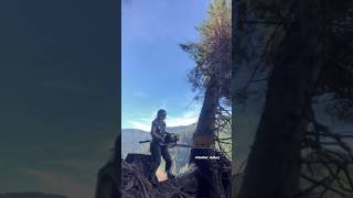 Download Lagu The Hamburglar strikes again MP3