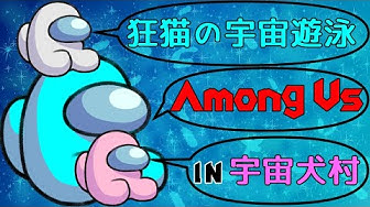狂猫の戯れ Youtube 狂猫の戯れ Youtube