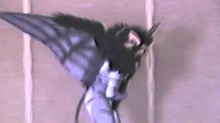 Confurence 8 - Costume Contest #18 - Miscellaneous