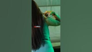 Nila Nada n Friend  | PURNAMA MERINDU   ga ketulungan goyangannya