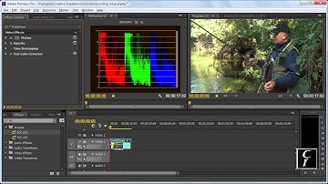 CI Vignette - 01. Applying the Vignette