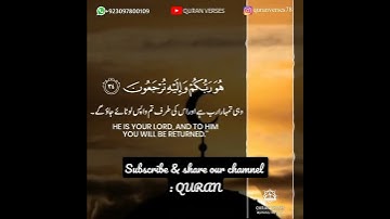 تلاوة خاشعة للقارئ اسلام صبحي #سورة_لقمان #اسلام_صبحي #القارئ_اسلام_صبحي #إسلام_صبحي #القرآن_الكريم