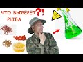 ЕСТЕСТВЕННЫЕ НАЖИВКИ или ХИМИЯ?!! САМАЯ ЛЮБИМАЯ РЫБАКАМИ РЫБА ПРЕДПОЧИТАЕТ ЭТО!!