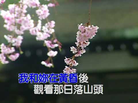 005 幾時再回頭