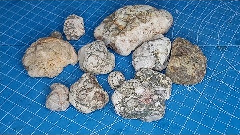 I Cut Open 12 Agate Nodules From Nova Scotia To See What