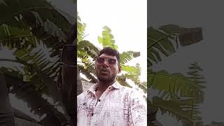 The mask comes off.মুখোশটা খুলে যায় #reels #vlog #begam #viralreels #newreel #reelscreator #reelsin