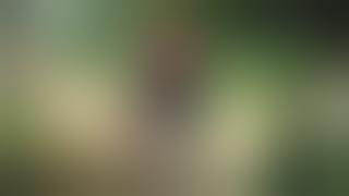 Reggea Jamaica Santai